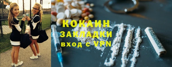ALPHA PVP Покров